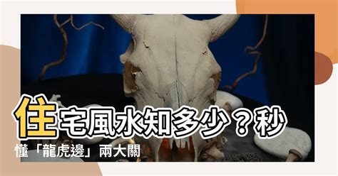 房子龍邊|【住宅龍虎邊】住宅風水知多少？秒懂「龍虎邊」兩大。